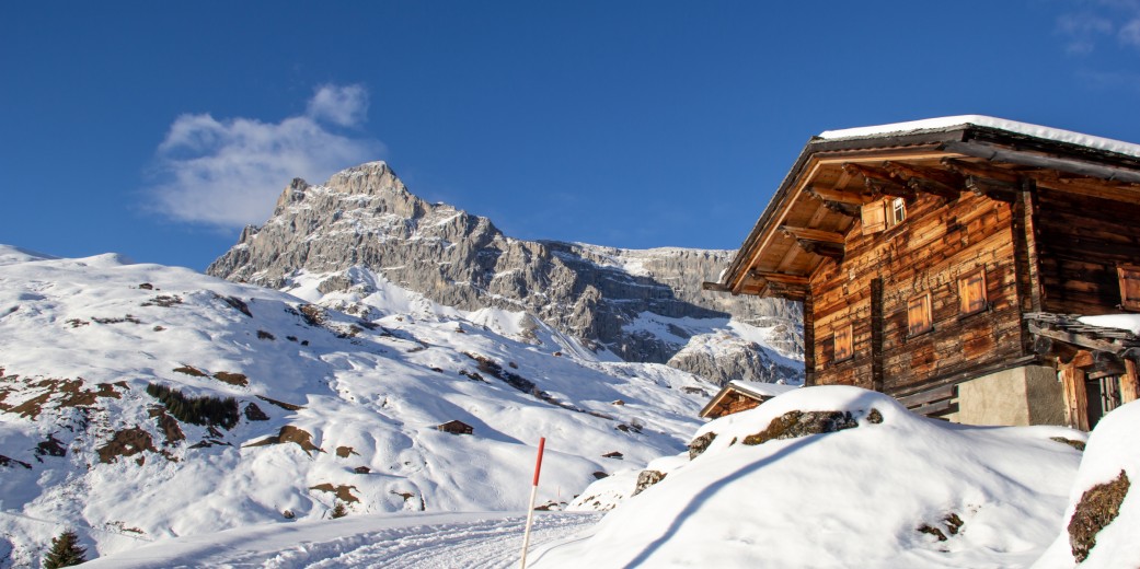 Un'accogliente casa temporanea è preparata per voi dalle nostre imprese partner.