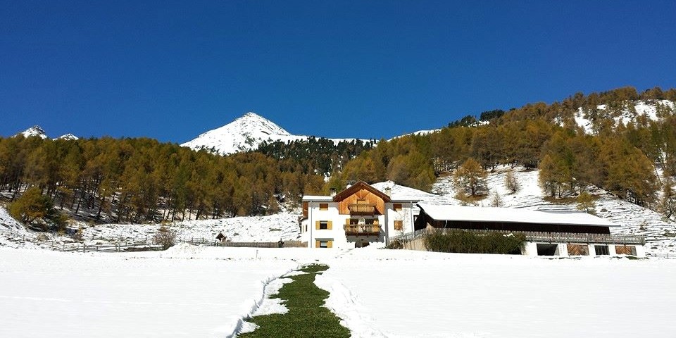 All' inizio dell' inverno