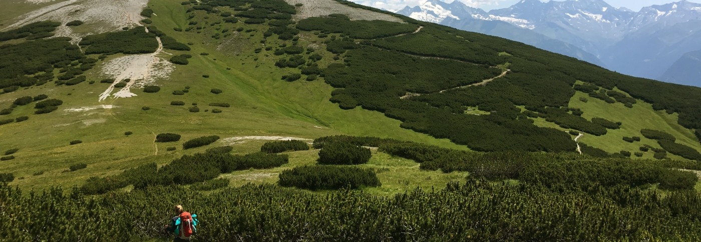 Il cammino di San Romedio