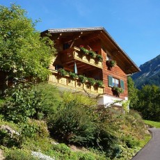 Haus Bergblick im Sommer mit der Blasenka (2.104 m) im Hintergrund