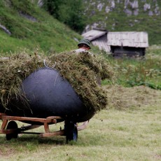 Heuernte im Gailtal