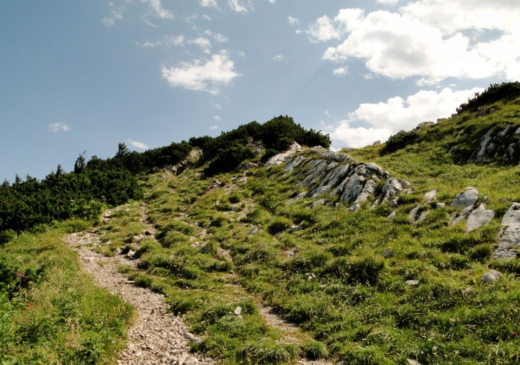 Sentiero per salire la montagna 